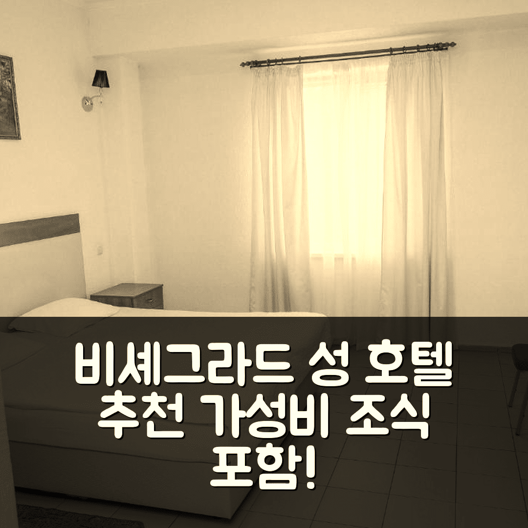 노비 페트리브트시 숙소 여행 호텔 추천 비셰그라드 성 호텔 | 4성급 조식과 가성비 좋은 위치 7가지 팁