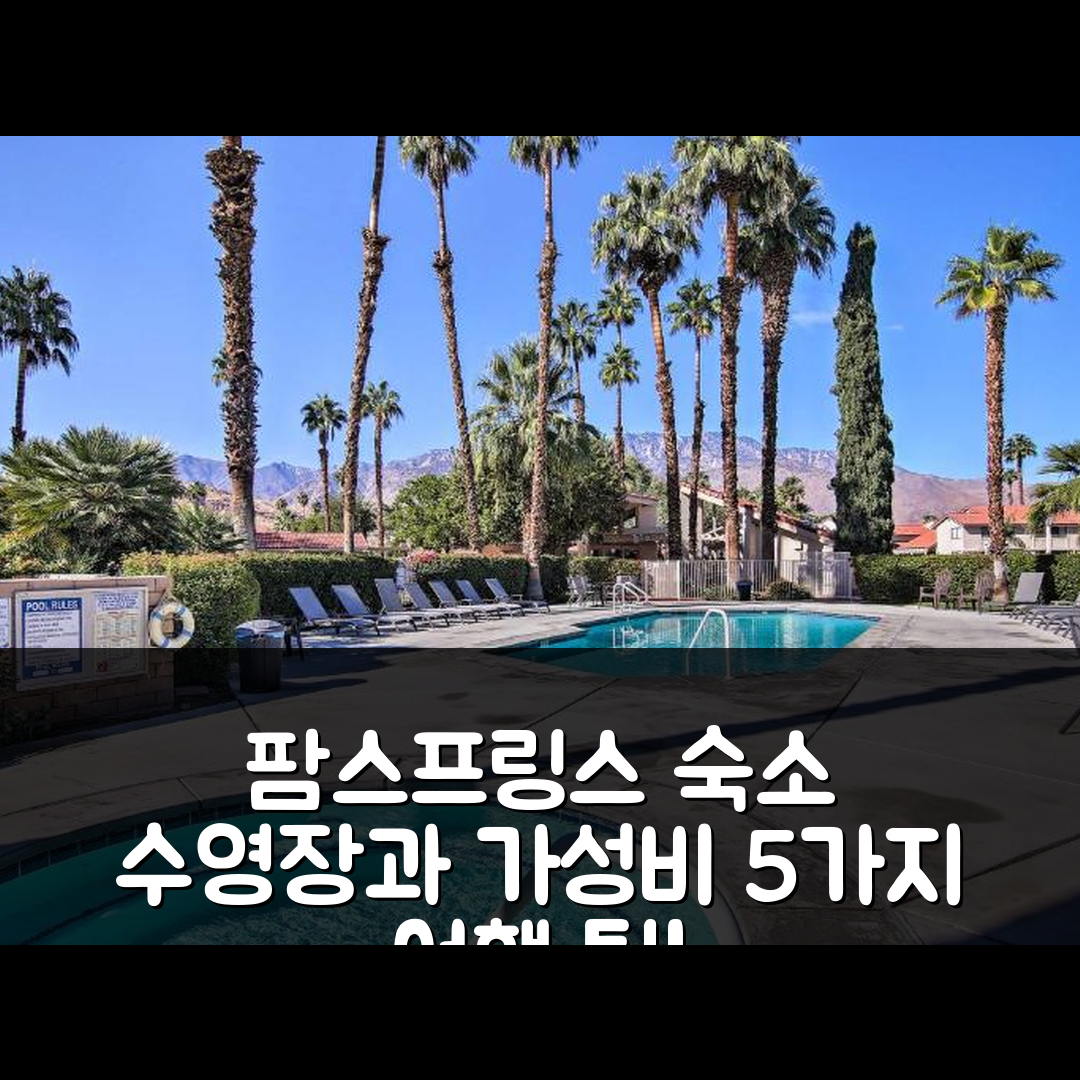 팜스프링스 숙소 여행 호텔 추천 팜스프링스 어보드 | 수영장과 가성비 뛰어난 5가지 여행 팁