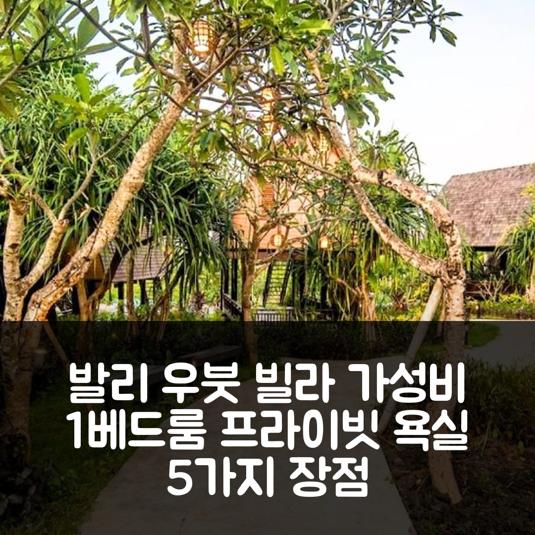 발리 숙소 여행 호텔 추천 우붓의 빌라 30m² 가성비 좋은 1베드룸 프라이빗 욕실 5가지 장점
