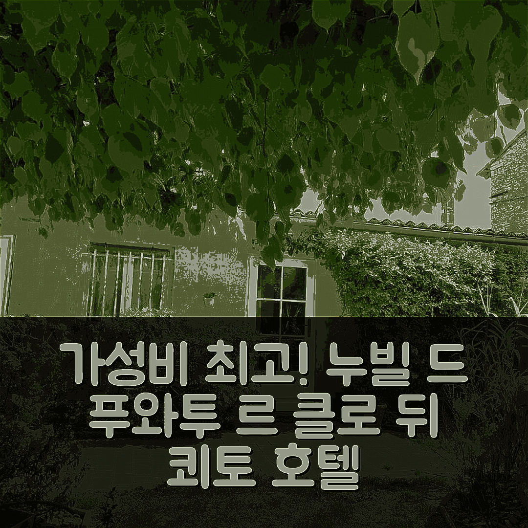 누빌 드 푸와투 숙소 여행 호텔 추천 르 클로 뒤 쾨토 호텔 | 가성비 좋은 조식과 수영장 경험 5가지