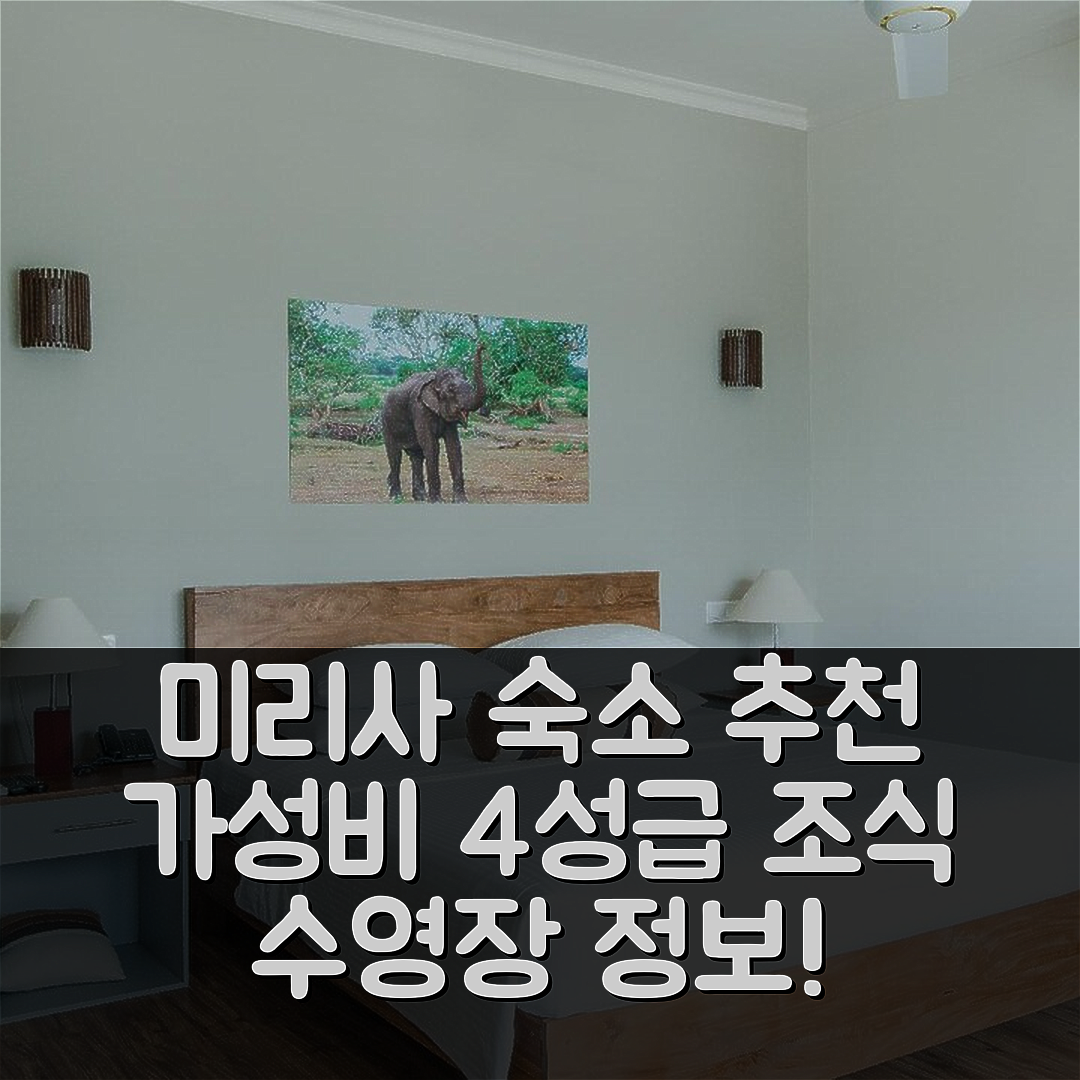 미리사 숙소 여행 호텔 추천 트웬티 투 웰리감베이 | 가성비 뛰어난 4성급 조식과 수영장 정보 5가지