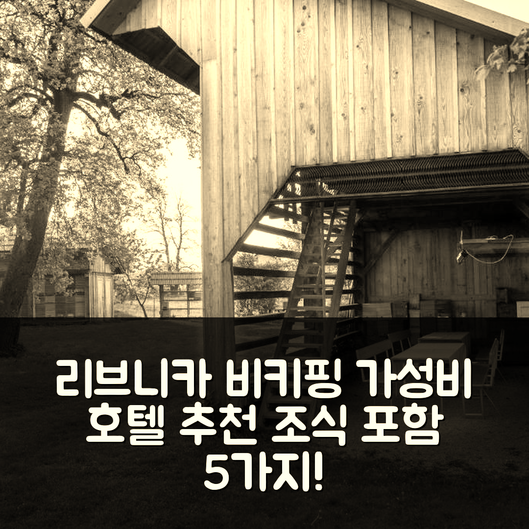 리브니카 숙소 여행 호텔 추천 비키핑 코젝 호텔 | 가성비 뛰어난 위치와 조식 정보 5가지