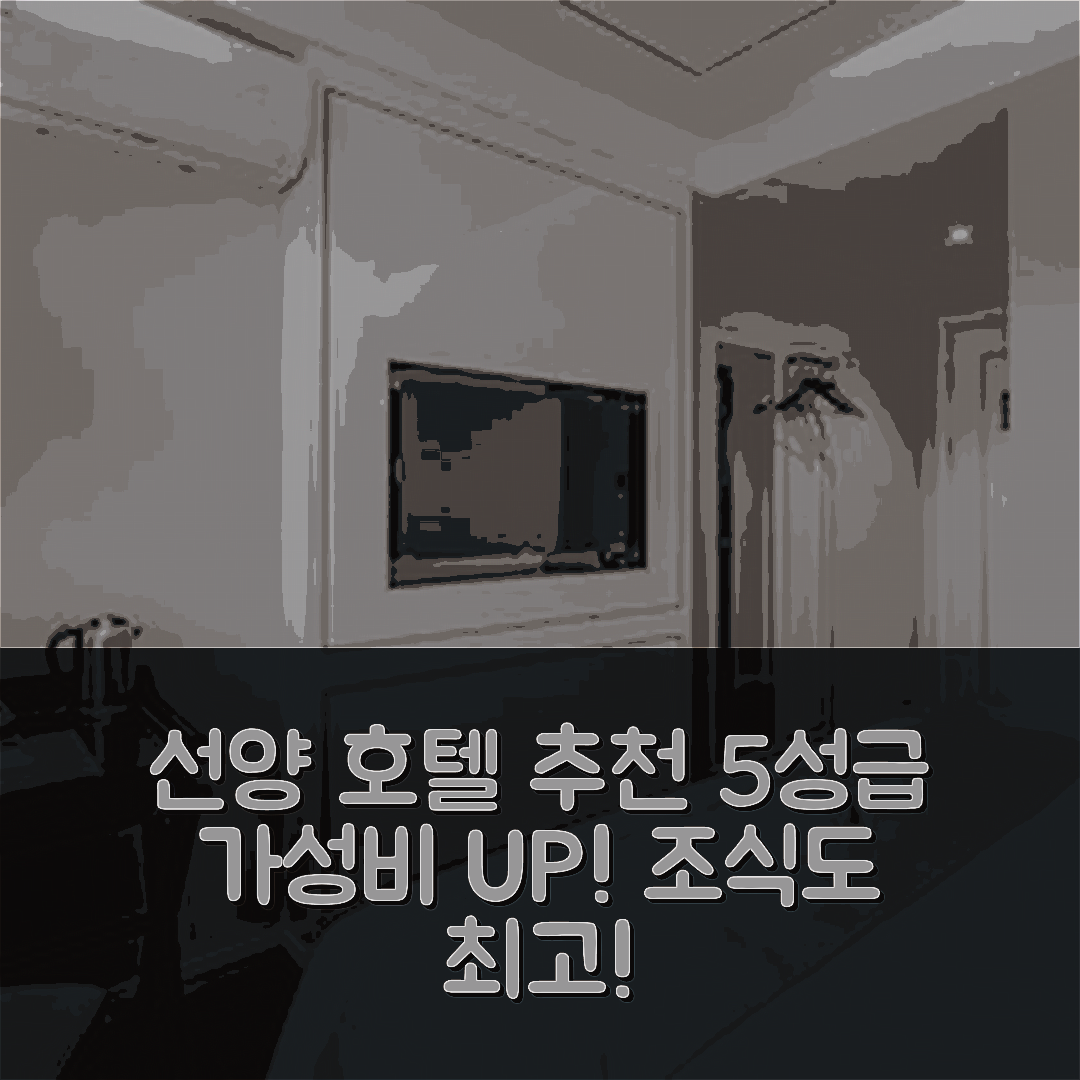 선양 숙소 여행 호텔 추천 사나 라이트 선양 베일링 파크 호텔 | 가성비와 조식이 뛰어난 5성급 위치 정보 7가지 팁