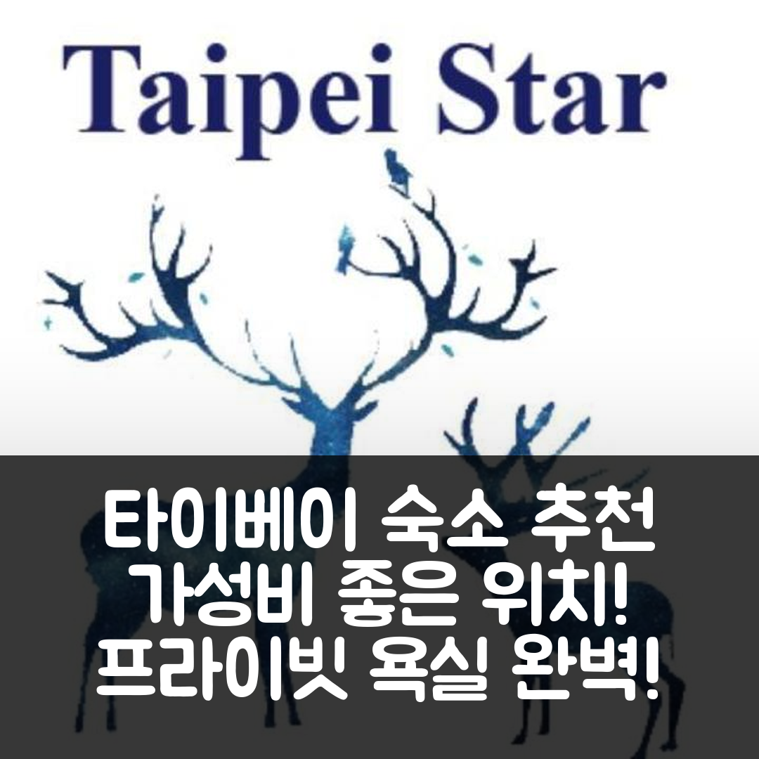 타이베이 숙소 여행 호텔 추천 스카이 2 타이베이 스테이션 | 프라이빗 욕실과 가성비 좋은 위치 5가지